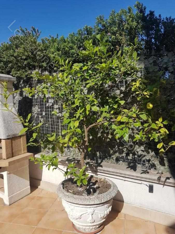Locazione Turistica Fusillo Lorusso Con Parcheggio Privato In Loco Apartment Barletta Exterior photo